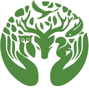 Статистика Дзен Заповедный мир
