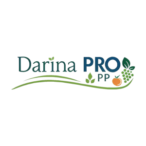 Статистика Дзен Darina_PRO_PP: Наука о вкусном ПП