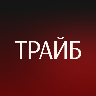 Статистика Дзен ТРАЙБ.Недвижимость