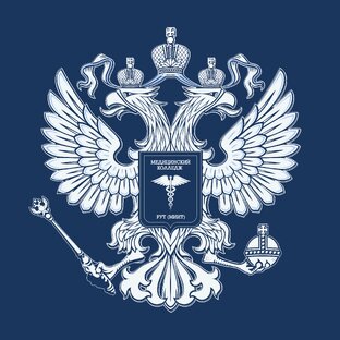 Статистика Дзен Медицинский колледж РУТ (МИИТ)