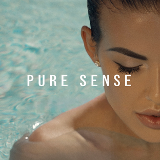 Статистика Дзен Pure Sense