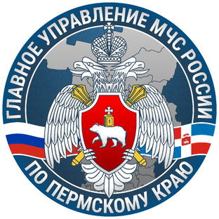 Статистика Дзен МЧС Прикамья