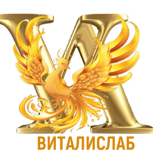 Статистика Дзен Лаборатория жизни Человечества ВиталисЛаб