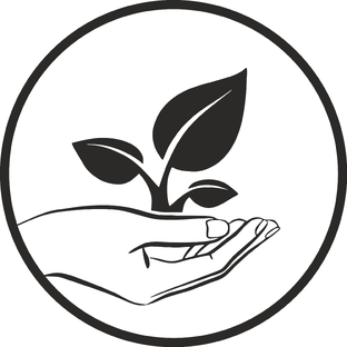 Статистика Дзен Фитосфера