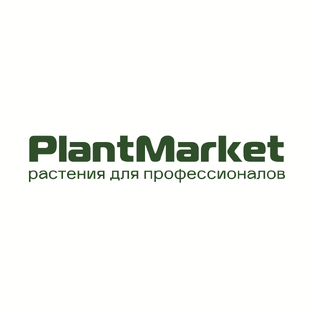 Статистика Дзен PlantMarket