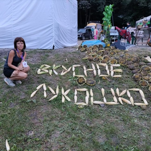 Статистика Дзен Вкусное лукошко Леси