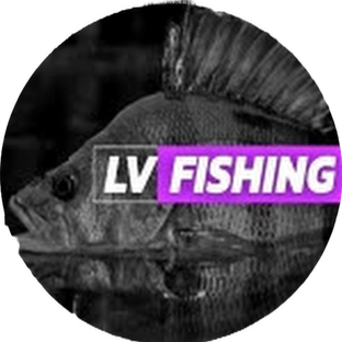 Статистика Дзен LV FISHING
