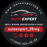 Статистика Дзен Autoexpert_25reg