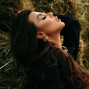 Дзен Владимир Волков статистика