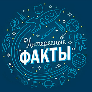 Статистика Дзен Все обо всем