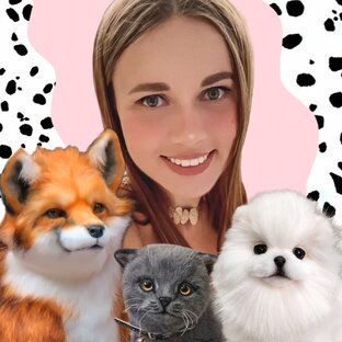 Дзен Мастерская Виктории Гавриловой статистика