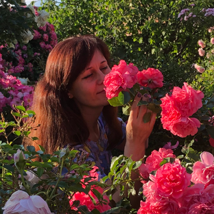 Статистика Дзен 🌺Цветочница 🌺Оля🌺