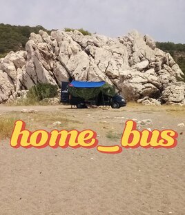Статистика Дзен Home_bus