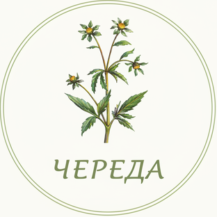 Статистика Дзен ЧЕРЕДА | Озеленение и уход за растениями