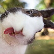 Тог 2 в world of tanks. Формовщица хлебобулочных изделий. Тог работа. Монитор охранника. Тог работа.