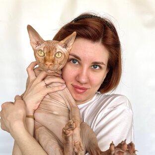 Статистика Дзен Нина со сфинксом🐈