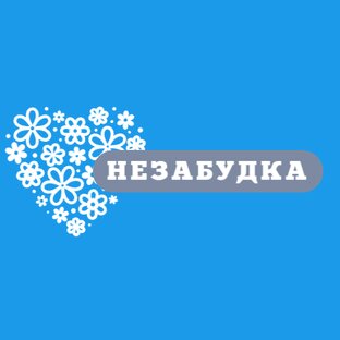 Статистика Дзен Незабудка Магазин растений для сада 