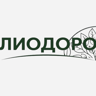 Статистика Дзен Лиодоро
