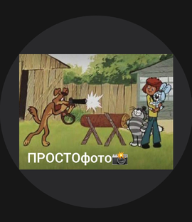 Дзен ПРОСТОфото📸 статистика