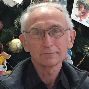 Статистика Дзен Коллекции в нашей жизни