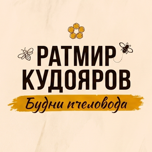 Статистика Дзен Ратмир Кудояров / Будни пчеловода