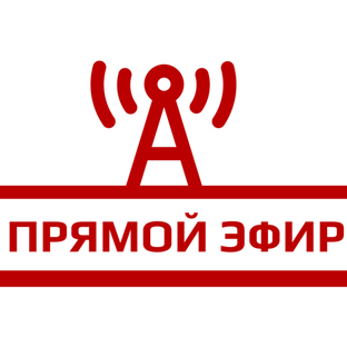 Статистика Дзен Новости короткой строкой