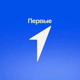 Статистика Дзен Движение Первых | Крым