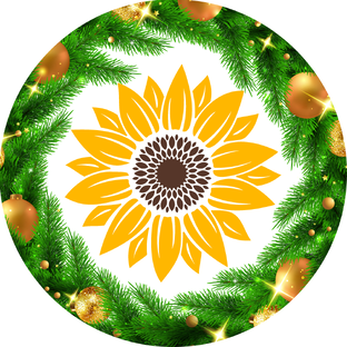 Дзен Качество в подарок статистика