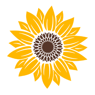 Дзен Качество в подарок статистика