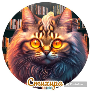 Статистика Дзен Стихира & Ai SUNO Music