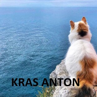Статистика Дзен KRAS ANTON