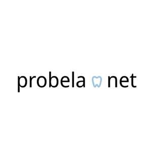 Статистика Дзен Probela.net