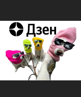 Статистика Дзен Четверо на круге