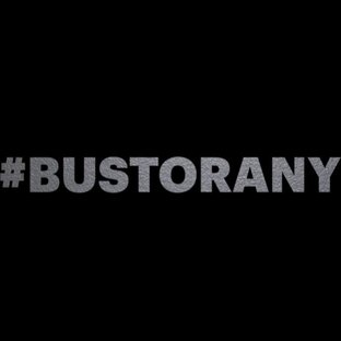 Статистика Дзен #BUSTORANY