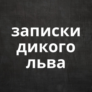 Статистика Дзен ЗАПИСКИ ДИКОГО ЛЬВА 🦁