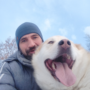 Статистика Дзен ХатиКо 🐶( Пёс Хати и компания♥️)