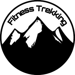 Статистика Дзен Fit-trekking