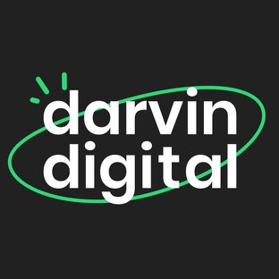 Статистика Дзен Darvin Digital