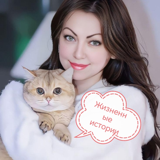 Статистика Дзен ЖИЗНЕННЫЕ ИСТОРИИ