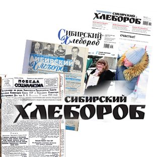 Статистика Дзен Газета "Cибирский хлебороб"
