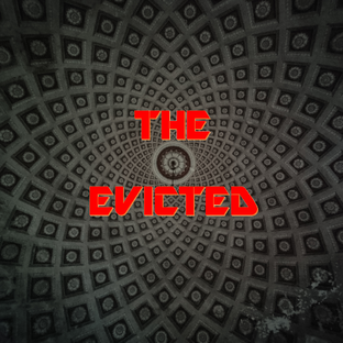 Статистика Дзен THE EVICTED