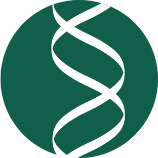 Статистика Дзен PreventAge® Международный институт интегральной превентивной и антивозрастной медицины
