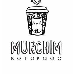 Статистика Дзен Котокафе "Мурчим" Новосибирск