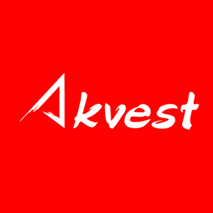 Статистика Дзен Akvest.lkm