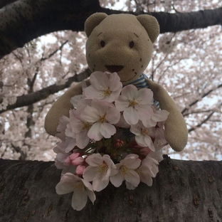 Статистика Дзен 🐻𝔹𝕖𝕒𝕣𝕚𝕤𝕙 𝕤𝕥𝕠𝕣𝕚𝕖𓍢 🎧˚.