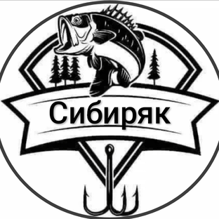 Статистика Дзен СИБИРЯК