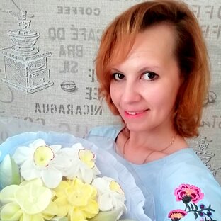 Статистика Дзен Мысли и зефир от Катерины