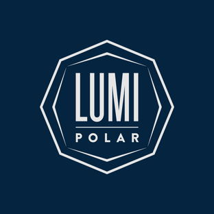 Статистика Дзен Lumi Polar | Строительство финских домов люкс-класса