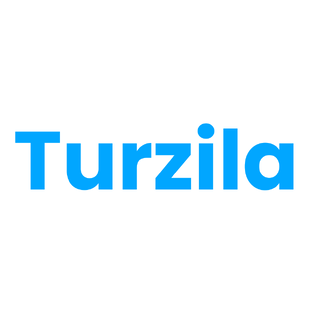 Статистика Дзен Turzila.com