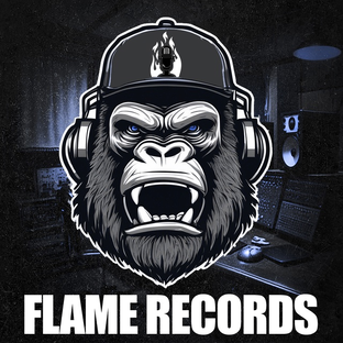 Статистика Дзен Студия Звукозаписи Flame Records